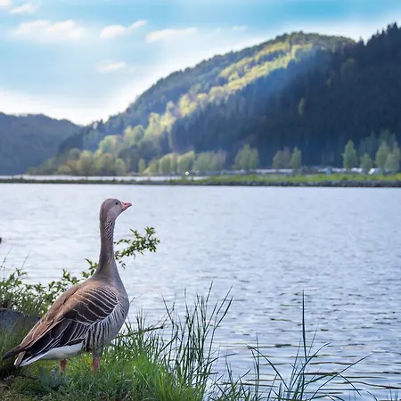 - Ernst Ξενοδοχείο