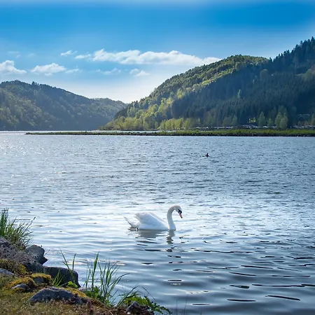 Ξενοδοχείο - Ernst 3*