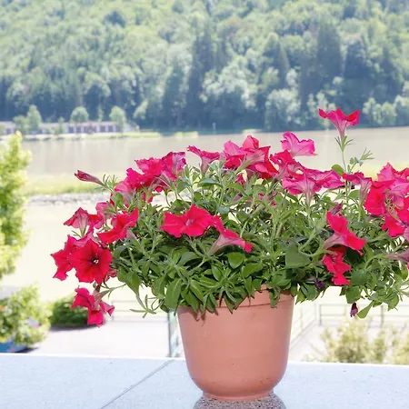 - Ernst Ξενοδοχείο Untermuhl