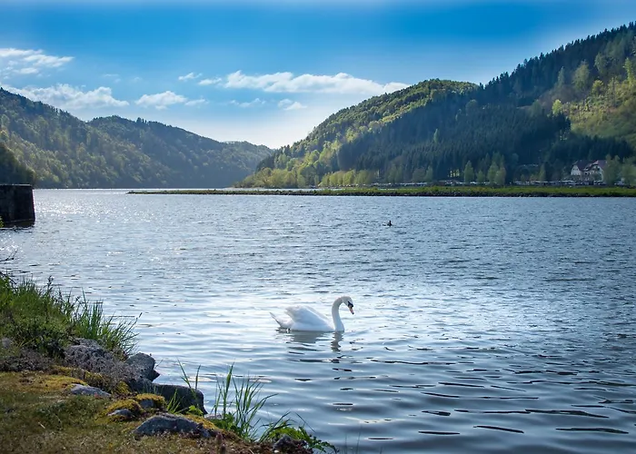 Ξενοδοχείο - Ernst 3*